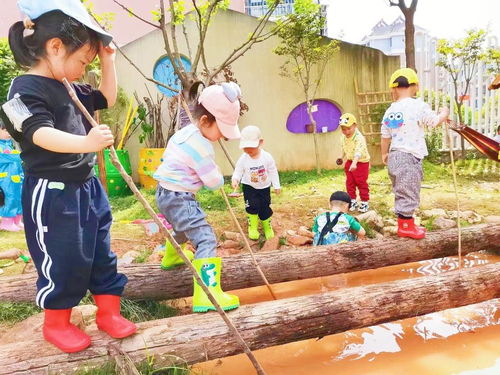 桌面游泳 