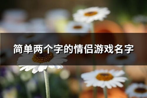 两个人的游戏挑战 两个人的游戏挑战